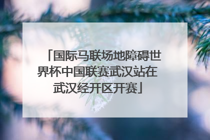 国际马联场地障碍世界杯中国联赛武汉站在武汉经开区开赛