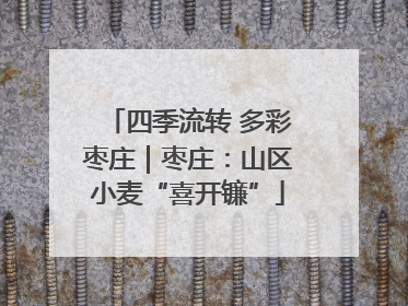 四季流转 多彩枣庄｜枣庄：山区小麦“喜开镰”