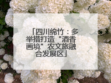 四川绵竹：多举措打造“酒香画境”农文旅融合发展区