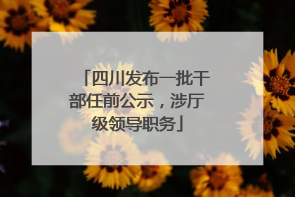 四川发布一批干部任前公示，涉厅级领导职务