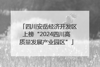 四川安岳经济开发区上榜“2024四川高质量发展产业园区”