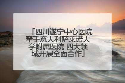 四川遂宁中心医院牵手意大利萨莱诺大学附属医院 四大领域开展全面合作