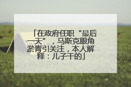 在政府任职“最后一天”，马斯克眼角淤青引关注，本人解释：儿子干的