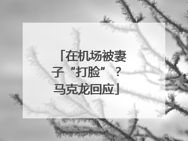在机场被妻子“打脸”？马克龙回应
