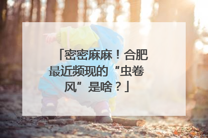 密密麻麻！合肥最近频现的“虫卷风”是啥？