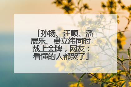 孙杨、汪顺、潘展乐、费立纬同时戴上金牌，网友：看懂的人都哭了