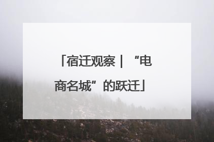宿迁观察｜“电商名城”的跃迁