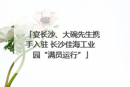 宴长沙、大碗先生携手入驻 长沙佳海工业园“满员运行”