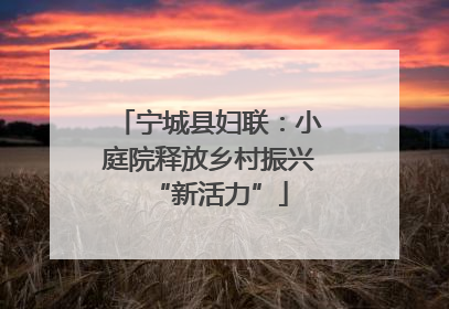 宁城县妇联：小庭院释放乡村振兴“新活力”