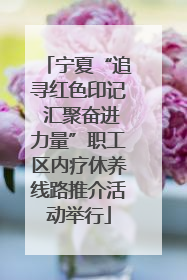 宁夏“追寻红色印记 汇聚奋进力量”职工区内疗休养线路推介活动举行
