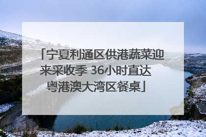 宁夏利通区供港蔬菜迎来采收季 36小时直达粤港澳大湾区餐桌
