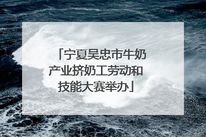 宁夏吴忠市牛奶产业挤奶工劳动和技能大赛举办