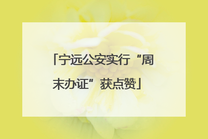 宁远公安实行“周末办证”获点赞