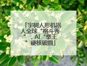 宇树人形机器人全球“格斗秀”，AI“拳王”硬核破圈