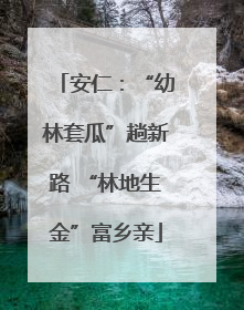 安仁：“幼林套瓜”趟新路 “林地生金”富乡亲