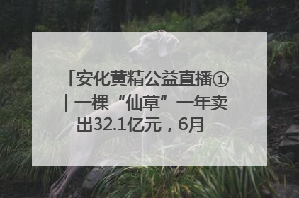 安化黄精公益直播①｜一棵“仙草”一年卖出32.1亿元，6月26日10:00新湖南直播揭秘安化黄精变黄金的“密码”