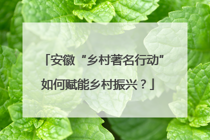 安徽“乡村著名行动”如何赋能乡村振兴？