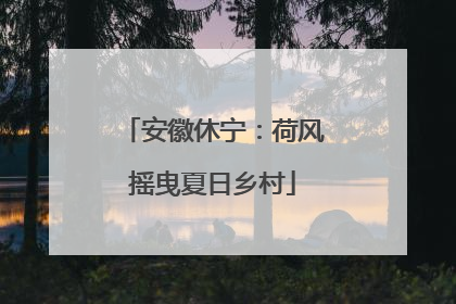 安徽休宁：荷风摇曳夏日乡村