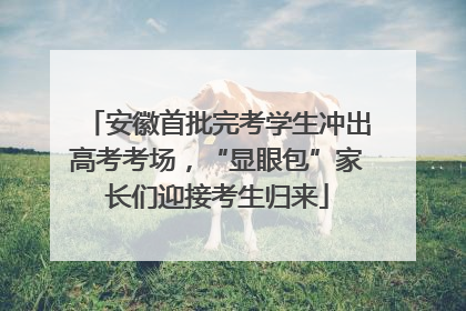安徽首批完考学生冲出高考考场，“显眼包”家长们迎接考生归来