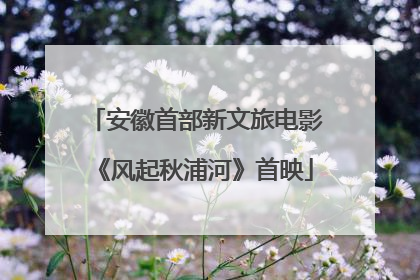 安徽首部新文旅电影《风起秋浦河》首映