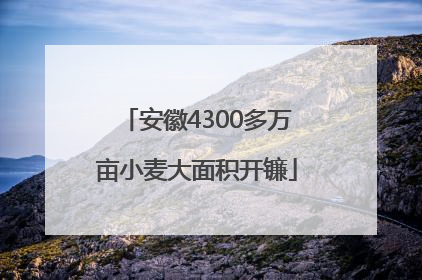 安徽4300多万亩小麦大面积开镰