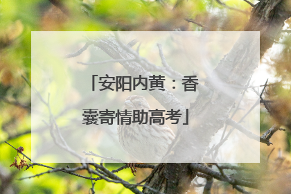 安阳内黄：香囊寄情助高考