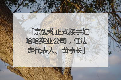 宗馥莉正式接手娃哈哈实业公司，任法定代表人、董事长