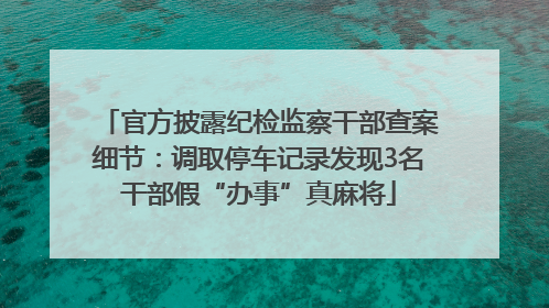 官方披露纪检监察干部查案细节：调取停车记录发现3名干部假“办事”真麻将