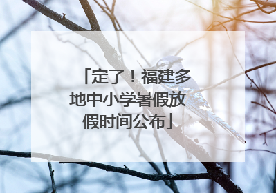 定了！福建多地中小学暑假放假时间公布