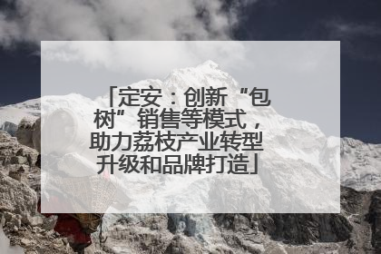 定安：创新“包树”销售等模式，助力荔枝产业转型升级和品牌打造
