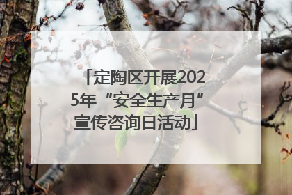 定陶区开展2025年“安全生产月”宣传咨询日活动