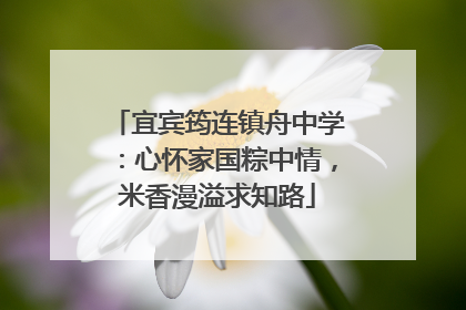 宜宾筠连镇舟中学：心怀家国粽中情，米香漫溢求知路