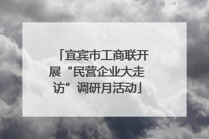 宜宾市工商联开展“民营企业大走访”调研月活动