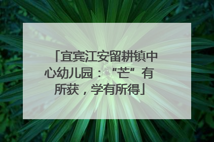 宜宾江安留耕镇中心幼儿园：“芒”有所获，学有所得