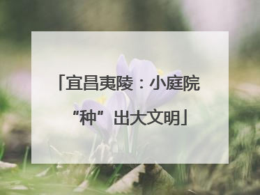 宜昌夷陵：小庭院“种”出大文明