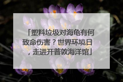 塑料垃圾对海龟有何致命伤害？世界环境日，走进开普敦海洋馆