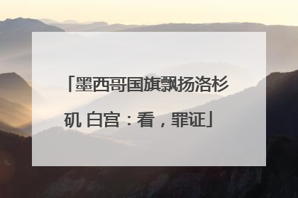 墨西哥国旗飘扬洛杉矶 白宫：看，罪证
