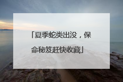 夏季蛇类出没，保命秘笈赶快收藏