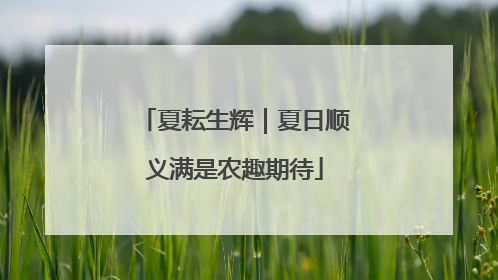 夏耘生辉｜夏日顺义满是农趣期待