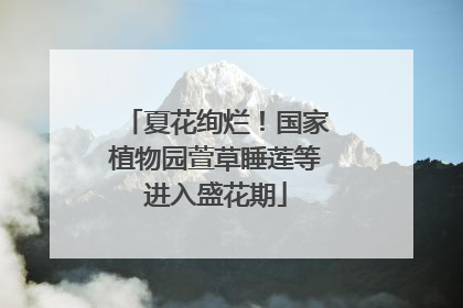 夏花绚烂！国家植物园萱草睡莲等进入盛花期