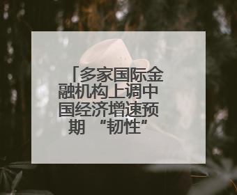 多家国际金融机构上调中国经济增速预期 “韧性”成关键词