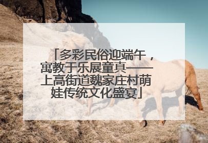 多彩民俗迎端午，寓教于乐展童真——上高街道魏家庄村萌娃传统文化盛宴