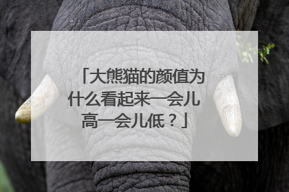大熊猫的颜值为什么看起来一会儿高一会儿低？