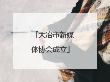 大冶市新媒体协会成立
