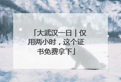 大武汉一日｜仅用两小时，这个证书免费拿下