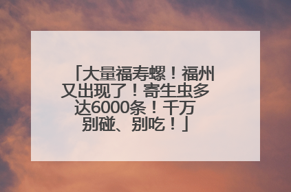 大量福寿螺！福州又出现了！寄生虫多达6000条！千万别碰、别吃！