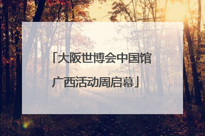 大阪世博会中国馆广西活动周启幕