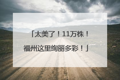 太美了！11万株！福州这里绚丽多彩！