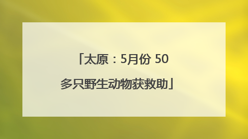 太原：5月份 50多只野生动物获救助