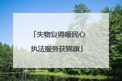 失物复得暖民心 执法服务获锦旗